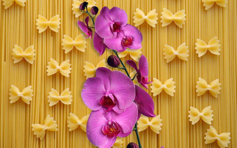 Collage en el que aparece de fondo un patrón de fideos y delante de ellos aparece una vara con varias orquídeas de color rosa.