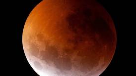 Eclipse Lunar: dos rituales fáciles de hacer para atraer el dinero y la buena suerte