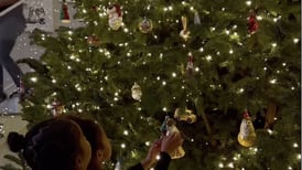 Kylie Jenner presume su gigantesco y majestuoso árbol de Navidad y provoca severas críticas