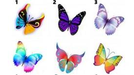 Elige una mariposa y descubre qué revela sobre tu personalidad
