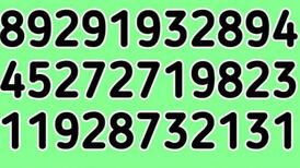 Reto visual: ¿Eres capaz de encontrar el número 139 oculto en menos de 7 segundos?