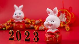 Estos serán los animales que tendrán suerte y fortuna para el 2023, según el horóscopo chino