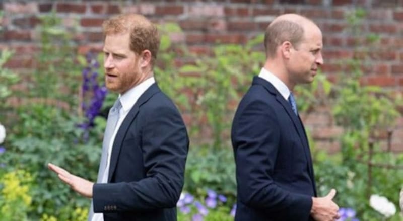 ¿Qué muestra el documental que indignó a la realeza británica? Los príncipes Harry y William: ¿distanciados? - Créditos: Instagram