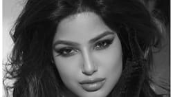 Miss Universo Harnaaz Sandhu vive la pena más grande de su vida