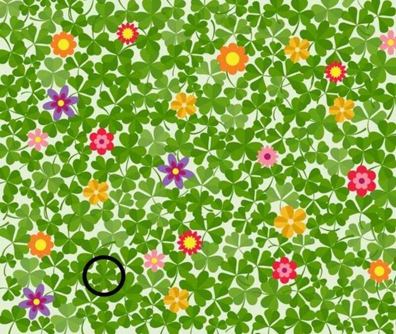 Encuentra el trebol de cuatro hojas en la imagen.