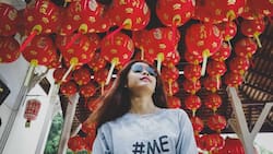 ¡Descubre tu Destino! Horóscopo Chino 2023 diario para cada Signo Zodiacal, gratis