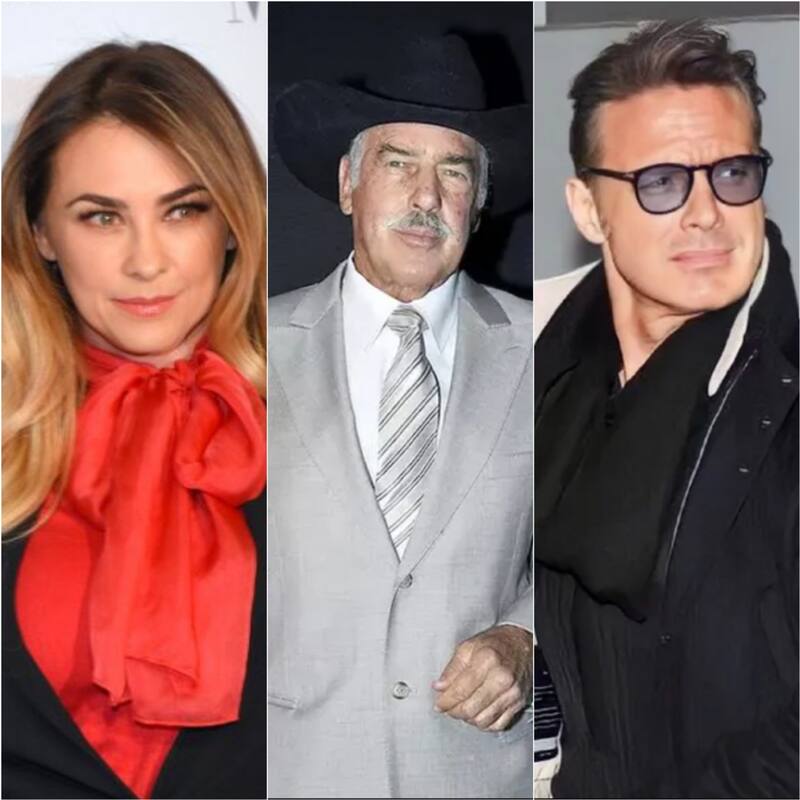Aracely Arámbula defiende a Luis Miguel por no ir al funeral de Andrés García - Créditos: Especial