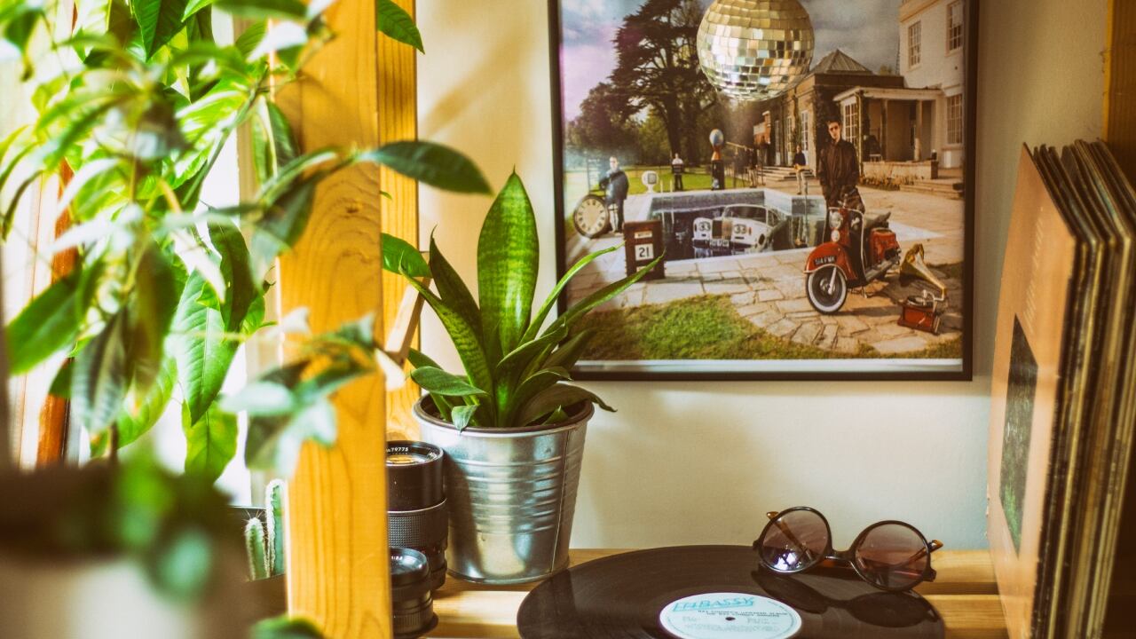 Plantas de interior en macetas, en una repisa