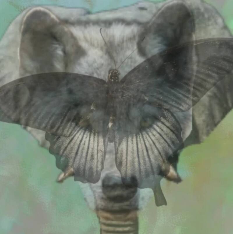 Descubre si eres una persona fiel o infiel según lo primero que capte tu atención en esta imagen.