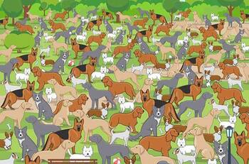 TEST VISUAL: ¿Serás capaz de encontrar al cachorro entre los perros?