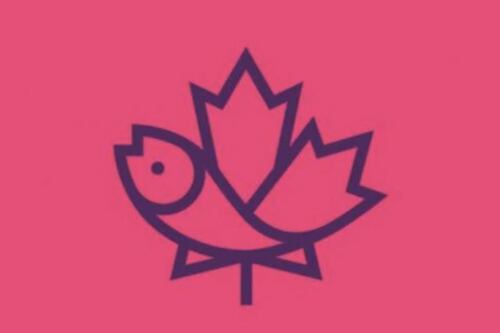 Test de personalidad: ¿Qué tanto te importan los sentimientos de los demás?