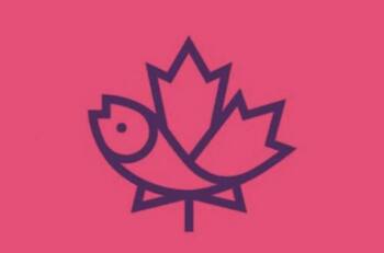 Test de personalidad: ¿Qué tanto te importan los sentimientos de los demás?