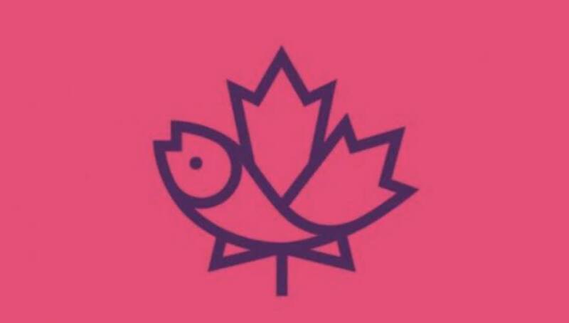 Teste de personalidad: ¿Qué tan empático eres? - Créditos: Internet