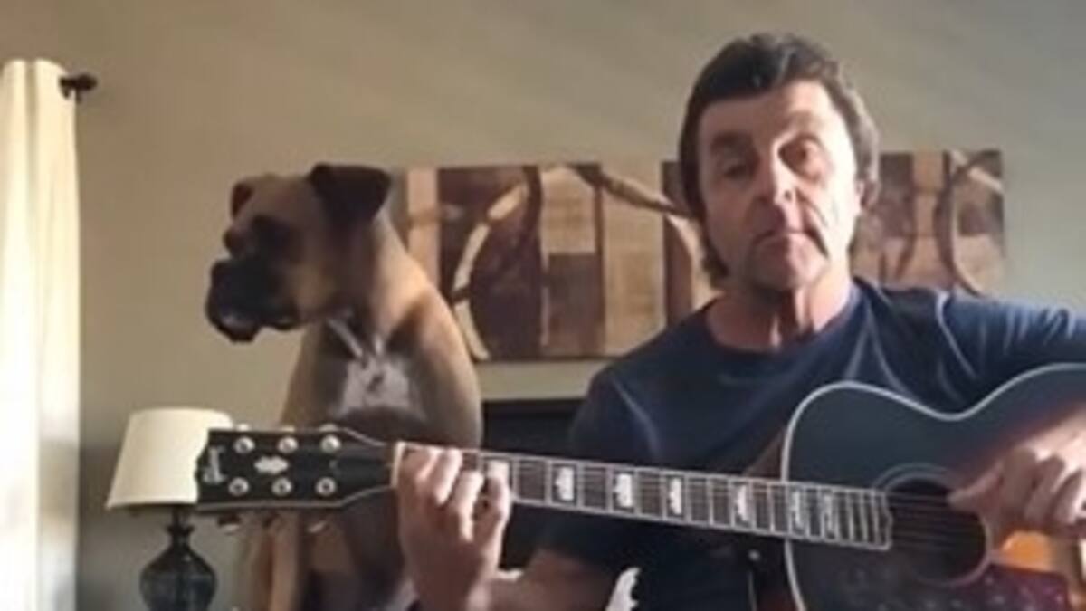 Increíble: perro Boxer canta tema de Paul McCartney