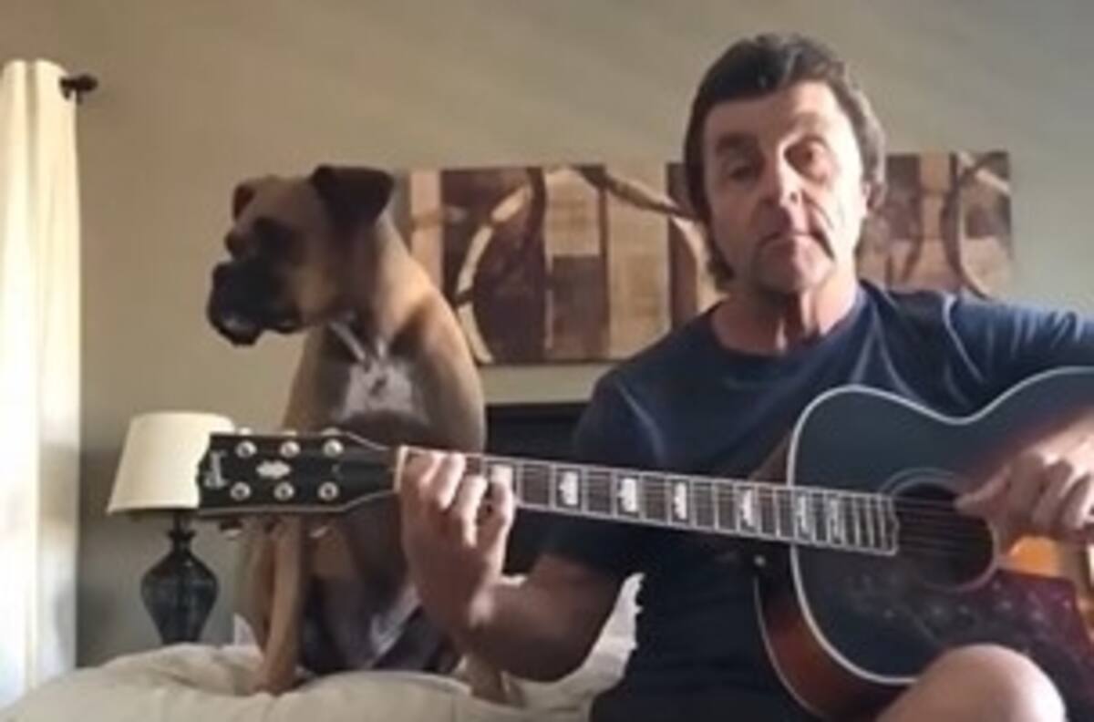 Increíble: perro Boxer canta tema de Paul McCartney