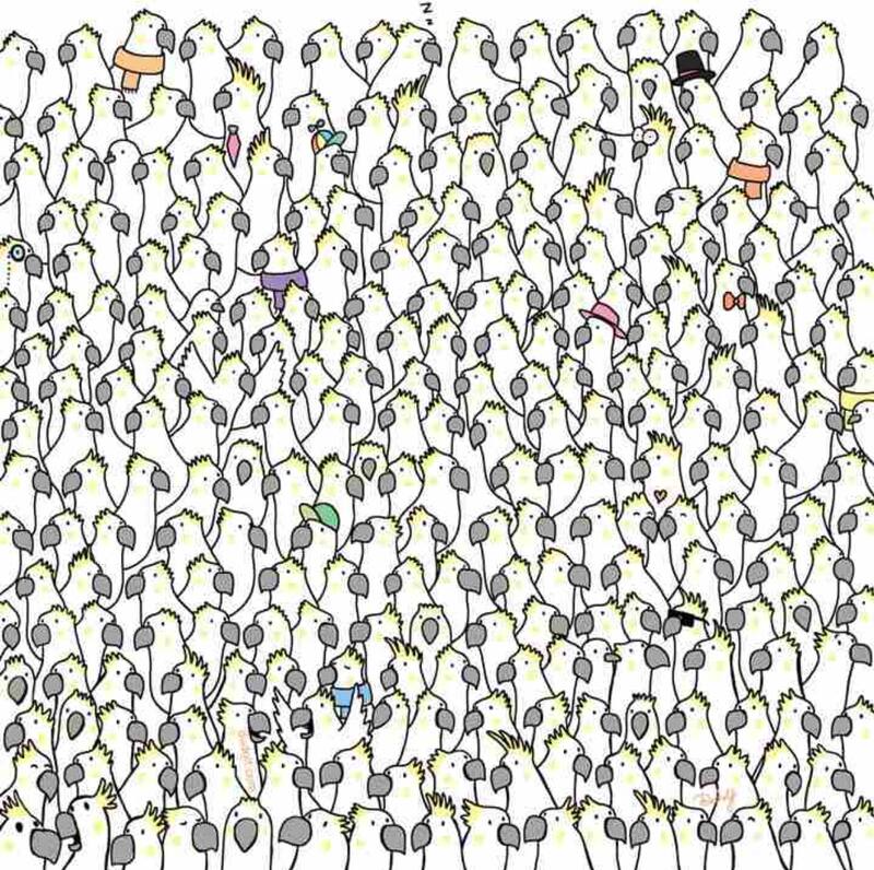 Encuentra a las cuatro palomas en la imagén en 15 segundos.