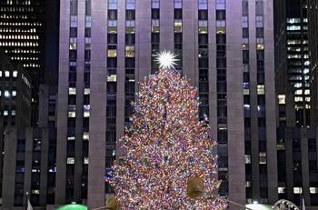 Elige el árbol de Navidad que más te guste y descubre cómo es tu personalidad
