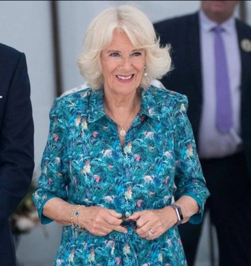 La reina consorte le teme a los aviones. - Créditos: Instagram