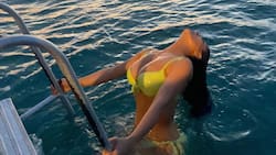 Salma Hayek derrocha sensualidad en atrevida sesión en el mar y con diminuto bikini