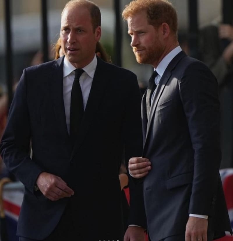 La famosa mujer a quien culpan del quiebre de los príncipes Harry y William - Créditos: Instagram