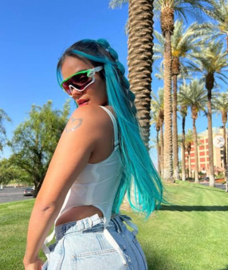 Karol G sufre agresión durante concierto en Colombia - Créditos: Instagram