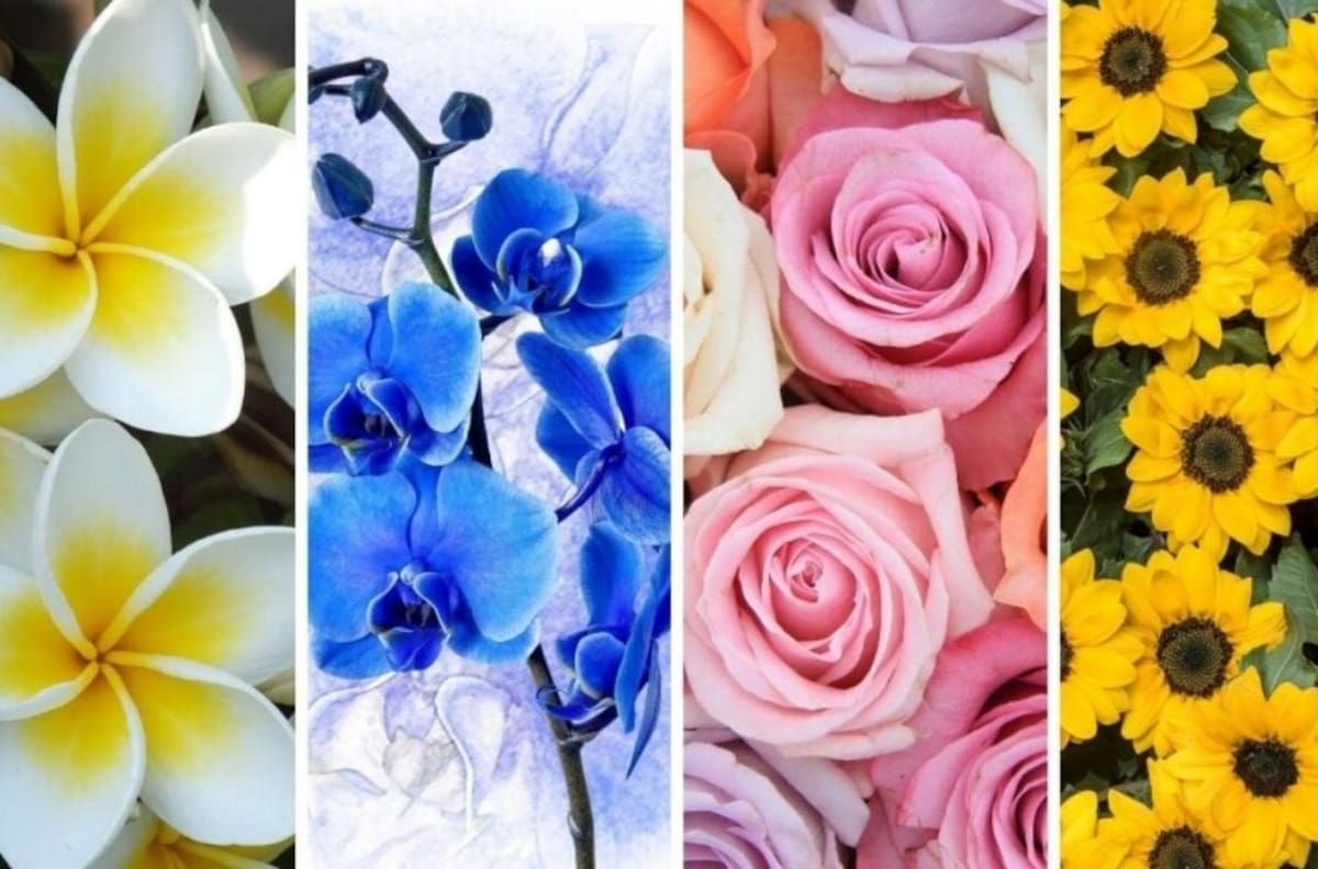 Test: La flor que te guste más revela los secretos de tu carácter, según la ciencia
