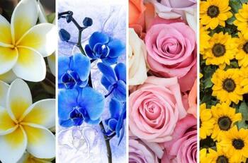 Test: La flor que te guste más revela los secretos de tu carácter, según la ciencia