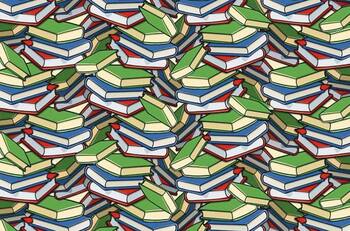 Reto visual: ¿Eres capaz de encontrar el lápiz escondido entre los libros en menos de 5 segundos?