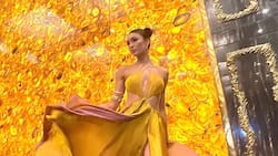 Miss Universo se sale con la suya, continúa su carrera como diseñadora y luce un vestido propio