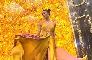 Miss Universo se sale con la suya, continúa su carrera como diseñadora y luce un vestido propio