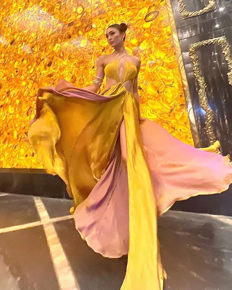La nueva Miss Universo confeccionó un nuevo vestido para su gira por Asia - Créditos: Instagram