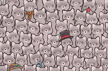 Reto visual: Un gato está escondido entre los mapaches ¿podrás encontrarlo?