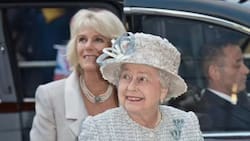 El rey Carlos y el regalo de cumpleaños para Camila: ¿Una joya histórica?