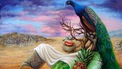 Test de personalidad: Lo primero que observes predice tu futuro