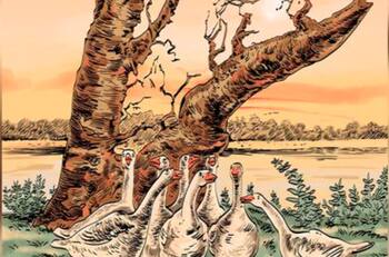 Reto Visual: Aunque no lo creas, en esta imagen hay un zorro ¿puedes verlo?