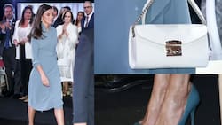 Fanáticos celebran a la reina Letizia como la “dama real más elegante del mundo” por su vestido azul cruzado