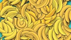 Reto visual: Encuentra la serpiente entre los plátanos