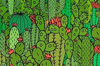 Reto visual: Encuentra tres animales escondidos entre los cactus