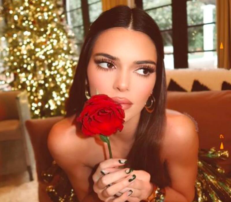 Kendall Jenner fue captada muy sonriente al lado de Harry Styles - Créditos: Instagram