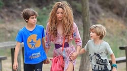 Sasha y Milan desean ver a Shakira y Piqué de nuevo juntos por un importante motivo