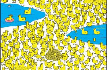 Reto visual: Encuentra al único pollito perdido entre los patos