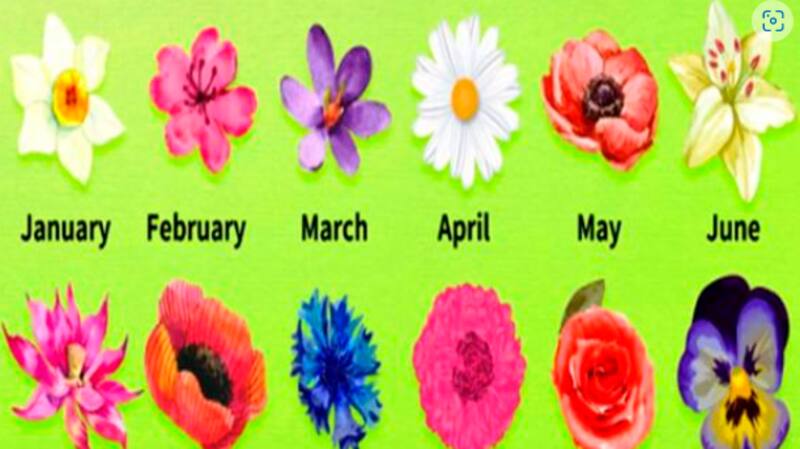 Test de personalidad: Elige una flor de acuerdo a tu cumpleaños - Créditos: Namastest