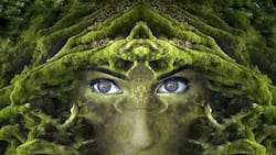 Mitos y malentendidos sobre cada signo del zodiaco que debes conocer