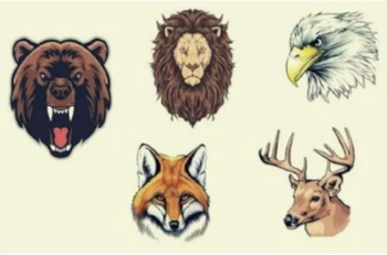 Elige un animal que te represente para conocer algunos rasgos de tu personalidad