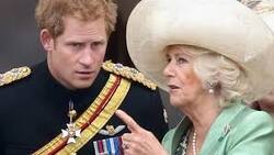 El progresivo deterioro de la relación del Príncipe Harry con Camila