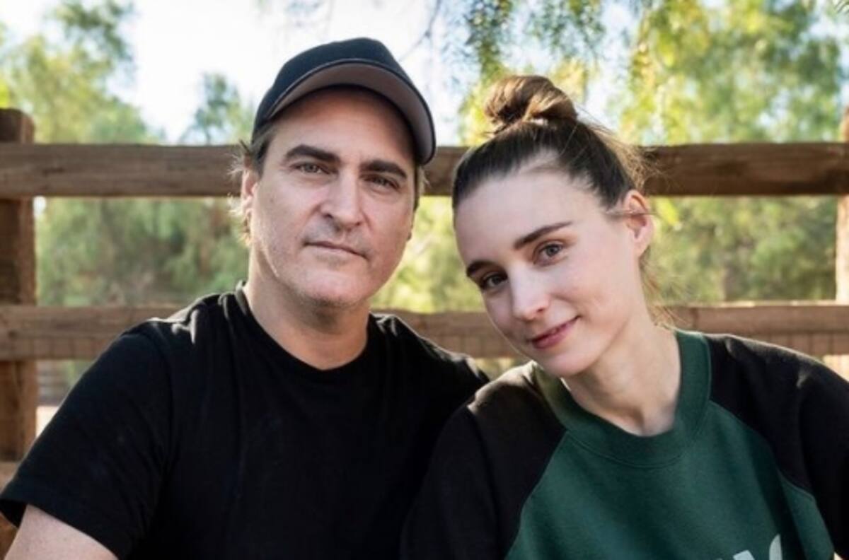 "No son comida": Joaquin Phoenix pide adoptar pavos en esta época de fiestas