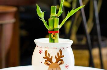 Regalos Navideños que el feng shui recomienda dar para equilibrar la energía