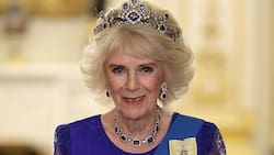 La serie de 'Harry & Meghan' está ayudando a la popularidad de la reina Camila