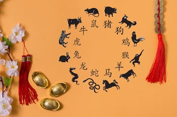 ¡Amor a primera vista! 4 signos del horóscopo chino que encontrarán el amor verdadero en un encuentro casual del 25 al 31 de julio