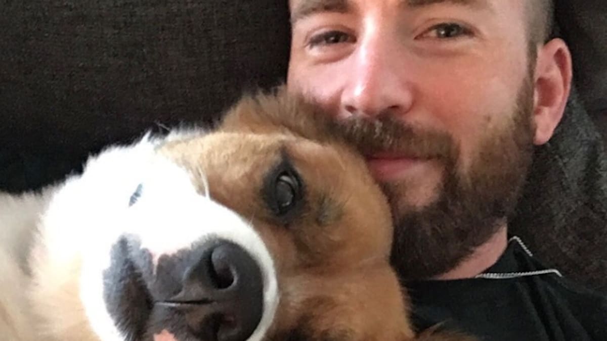 Famosos y sus hijos perrunos, te harán derretirte de ternura